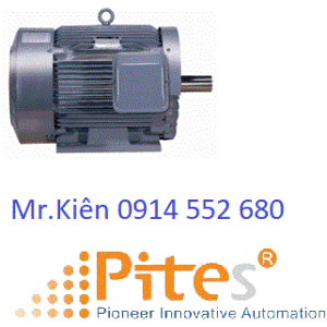 Motor 3 Phase V15HS8CTB3-PA040 Higen- PitesVietNam