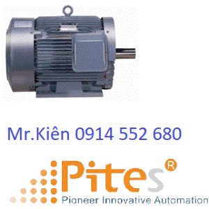 Motor 1600W HMA-EK16-PB21 Higen- Pites Đại Lý Higen Vietnam